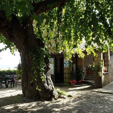 Hôtel Mola Solis à Civitella dʼAgliano Extérieur photo