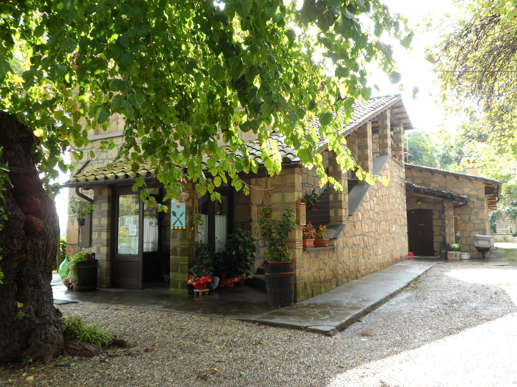 Hôtel Mola Solis à Civitella dʼAgliano Extérieur photo