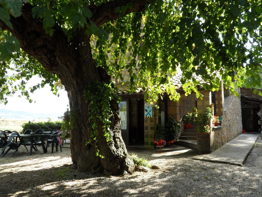 Hôtel Mola Solis à Civitella dʼAgliano Extérieur photo
