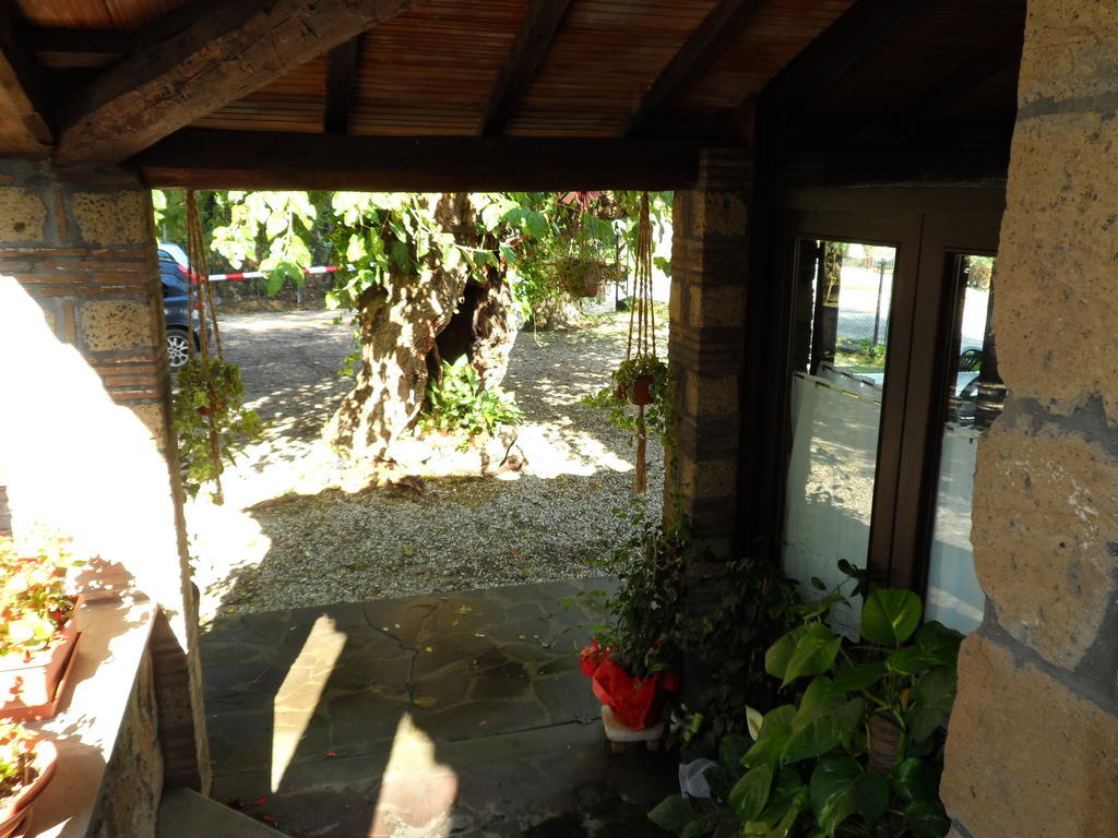 Hôtel Mola Solis à Civitella dʼAgliano Extérieur photo