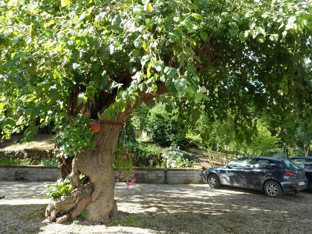 Hôtel Mola Solis à Civitella dʼAgliano Extérieur photo